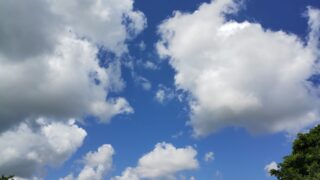 宮古島での暮らしにくさ。