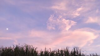 自分にとって最適な場所を見つけるためには？たまには居場所を変えてみよう。