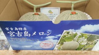 宮古島メロン。