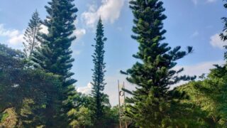 宮古島で観光にもおススメの公園めぐり。