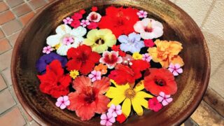 50代で仕事の目標が変わった！「最前線から後方支援」へ舵を切った理由と、後輩に会う喜び