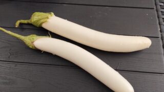 ナスの収穫とナス料理。