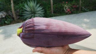 バナナの花って食べられるの？！驚きの調理法とその味は。