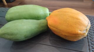 パパイヤを最大限楽しむ！青パパイヤの「シャキシャキ調理法」と完熟の「甘いデザート」