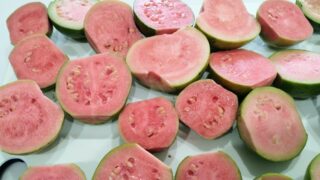 大量収穫！自宅で育てたグアバで「超濃厚ジュース」を作る