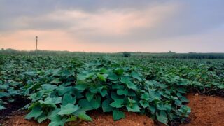 【移住者が実感】今いる場所が全てじゃない!居場所を変えて世界を広げるリセットのススメ。