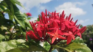 人生の後半戦、後回しはNG！宮古島で「やりたいこと」を全部やるための習慣術