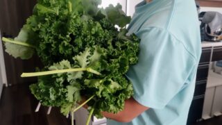 【爆獲りケール】庭の恵みをお裾分け！ご近所さんと楽しむ「野菜の王様」食事会